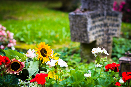 Friedhof Kottenforst, Bonn-Ückesdorf