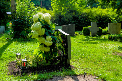 Waldfriedhof Heiderhof, Bonn-Bad Godesberg